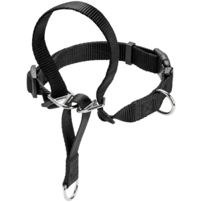 Image de Hunter Follow Me Harnais d&#039;Education Taille XL/4 pour Chien