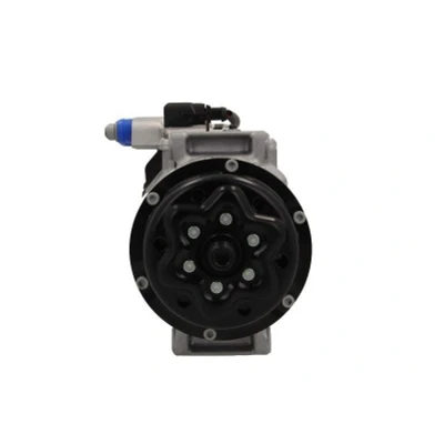 Image de BV PSH 090.305.013.260 Compresseur De Climatisation 7SEU17C PAG 46 R134a VOLKSWAGEN: Transporter 5 Bus, 5, Multivan (7HM