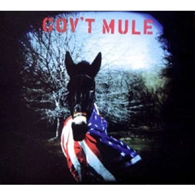 Image de Gov&#039;t Mule