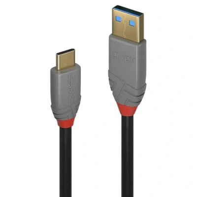 Image de LINDY 36911 Câble USB 3.1 Type C/A 5A 1 M
