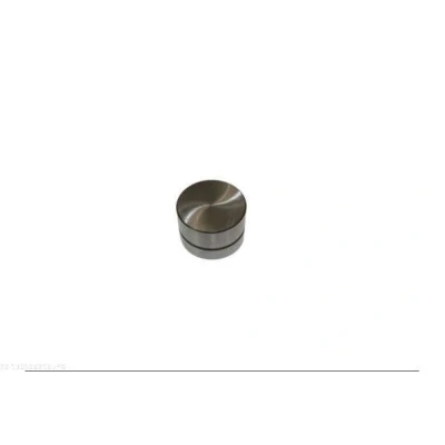 Image de AUTOMEGA 130106210 Poussoir hydraulique Côté d&#039;admission, d&#039;échappement OPEL: Meriva A, Astra G Cabriolet, CC