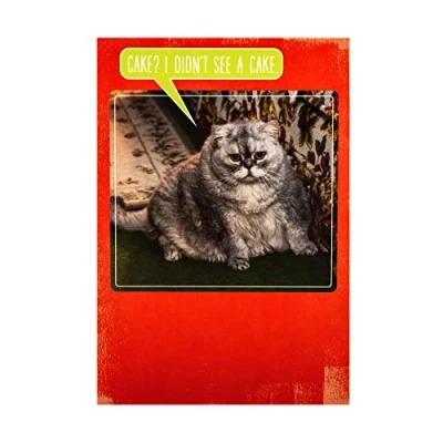 Image de Hallmark Carte d&#039;anniversaire en studio Motif chat et gâteau
