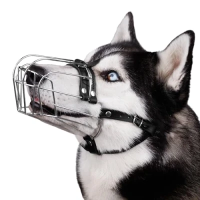 Image de BRONZEDOG Museau Chien Réglable en Fil Métallique Durable pour Grands Chiens, Sangles Cuir, Respirant, Permet de Boire, Entraînement, Empêche Les Morsures (Husky &amp; Doberman, Acier Inoxydable)