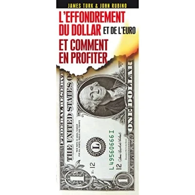 Image de Effondrement du dollar et de l&#039;euro : comment en profiter Livre d’occasion Correct