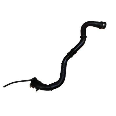 Image de BUGIAD 88759 Gaine De Suralimentation 54 RENAULT: Kangoo I Express, SCENIC 2, MEGANE 2