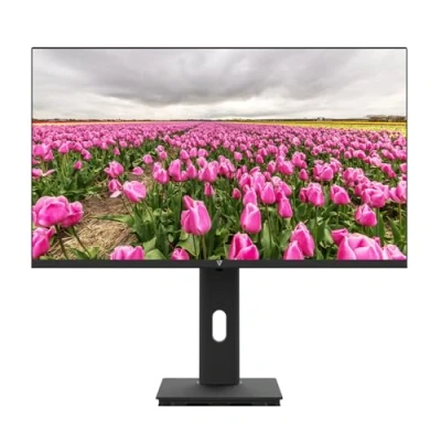 Image de V7 MONITOR LED IPS 23.8 FHD 1920x1080 (23.8IN HT ADJUST HDMI 100HZ 1080P VGA SPEAKER) Neuf