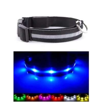 Image de Collier USB pour Chien à LED Rechargeable L Noir
