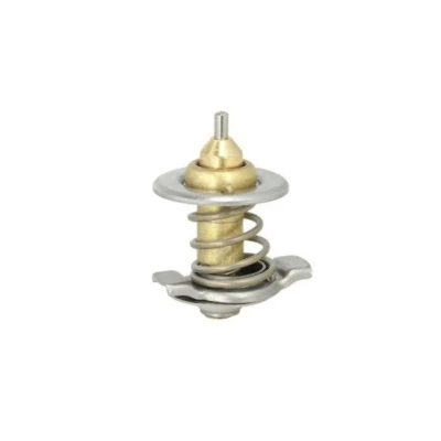 Image de THERMOTEC D2IV007TT Thermostat d&#039;eau 79 avec joint d&#039;étanchéite sans boîtier IVECO: DAILY 3 Kasten/Kombi,