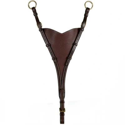 Image de Dyon Triangle de Martingale Soft Marron Full