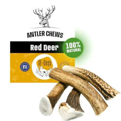 Image de RF Deer Bois de Cerf élaphe XS (Lot 5), Hard, 100% Naturel Bâtonnets Jouets à Mâcher naturels pour Chien, des os Le Plaisir et Les Soins dentaires, favorisant l&#039;hygiène Dentaire