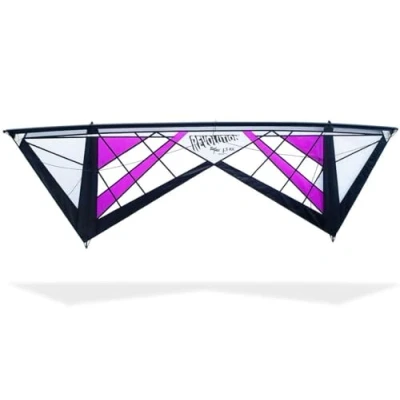 Image de Revolution Kites Cerf Volant 4 Lignes Reflex 1.5 RX Spiderweb, Violet
