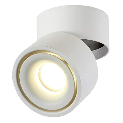 Image de Dr.lazy 10W LED spots de plafond Plafonnier, lampe, Plafond, Applique orientables, éclairage LED,10x10x10cm(blanc 4000K)