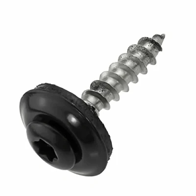 Image de SCREW REBEL Lot de 100 vis étanches En acier inoxydable A2 Avec rondelle d&#039;étanchéité EPDM TX20 4,5 x 20 mm Anthracite