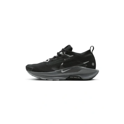 Image de Nike Performance Reactx Pegasus 5 GTX Chaussures de running, Femme, Taille: 41, Black/wolf grey cool anthracite reflect silver