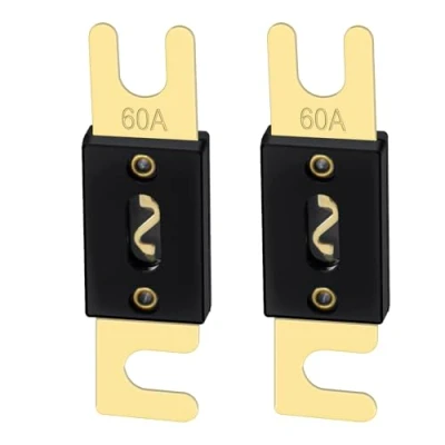Image de Heschen Lot de 2 fusibles ANL 60 pour système audio voiture Noir/doré A