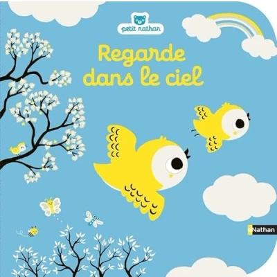 Image de Regarde dans le ciel Livre d&#039;éveil à toucher pour les bébés, dès 6 mois d’occasion Correct