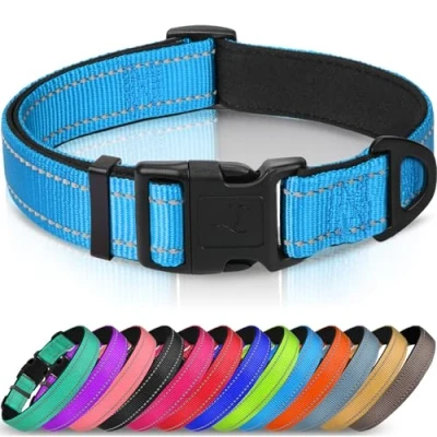Image de Joytale Collier pour Chien en Nylon avec Bande Réfléchissante,Collier Rembourré Classique Petit Chien,Bleu,XS