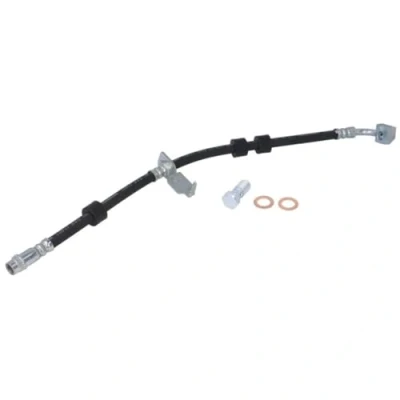 Image de DELPHI LH7750 Flexible De Frein 458mm M10x1 90DF VOLVO: XC90 II