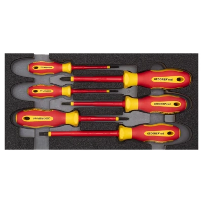 Image de GEDORE R22150016 Kit de tournevis dans module d&#039;outil (mousse calage PU)