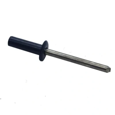 Image de Rivets étanches TP Inox A2 3,2x0,8 mm RAL 7016 gris anthracite par 100