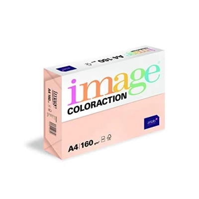 Image de Coloraction 838A 160S 11 Antalis Papier couleur A4 160 g/m² Saumon/11 (Import Allemagne)