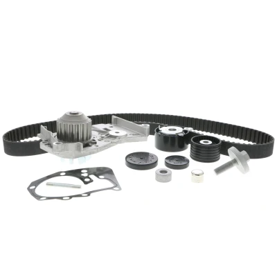 Image de VAICO V46 50024 BEK Pompe à Eau + Kit De Distribution RENAULT: CLIO 2, 3, MEGANE DACIA: Sandero I, Duster SUV, Logan I MCV