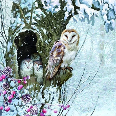 Image de Lot de 20 serviettes en forme famille chouettes dans un arbre Animaux Hiver Décoration table 33 x cm