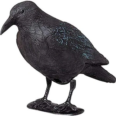 Image de ARTECSIS Corbeau factice en Plastique / 38x13x12,5cm, Noir/Antipigeon, Effaroucheur