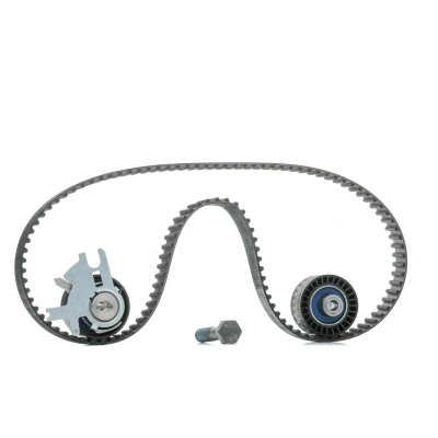 Image de SKF VKMA 03257 Kit de distribution 116 avec une denture arrondie PEUGEOT: 307 3/5 portes, 308 I 407 Berline, CITROËN: Jumpy II MPV
