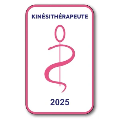 Image de SIGNAL SAFETY Autocollant Sticker Vignette Caducée 2024 pour Pare Brise en Vitrophanie V6 Kinésithérapeute