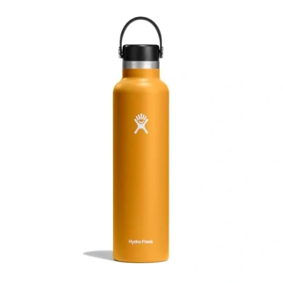 Image de HYDRO FLASK Bouteille d&#039;eau 709 ml (24 oz) en acier inoxydable à isolation sous vide avec bouchon Flex étanche et revêtement poudre Goulot standard Fossil