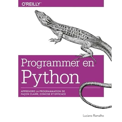 Image de Programmer en Python Apprendre la programmation de façon claire, concise et efficace collection O&#039;Reilly Livre d’occasion Bon