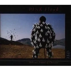 Image de Delicate Sound Of Thunder (2 CD) Livre d’occasion Correct
