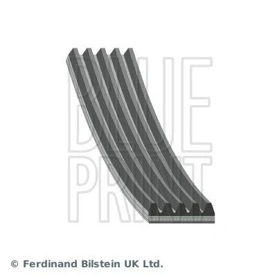 Image de BLUE PRINT AD05R850 Courroie Poly V 850 5 EPDM (éthylène propylène diène caoutchouc) HONDA: CIVIC 8 Hatchback