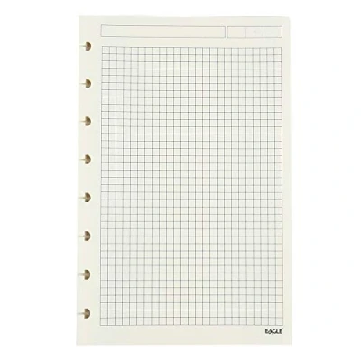 Image de Eagle Lot de 60 feuilles papier planification à disque perforé 8 trous imprimé des deux côtés 8,5 x 5,5 cm (pages carrées)