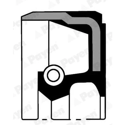 Image de PAYEN NA5013 Joint Spi De Vilebrequin PTFE (polytétrafluoroéthylène) FORD: Transit Connect Mk1 Van, MONDEO 4, C Max
