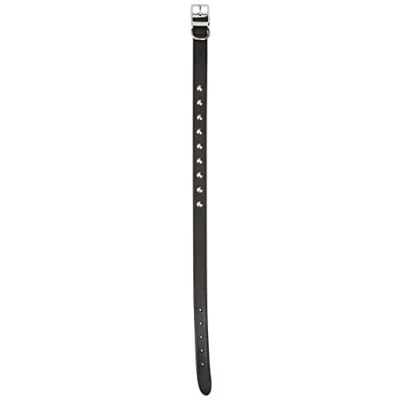 Image de Ancol Collier en Cuir Noir 50 59 cm Taille 7
