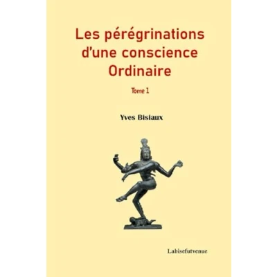 Image de Les pérégrinations d&#039;une conscience ordinaire (tome 1): génèse d&#039;un individu