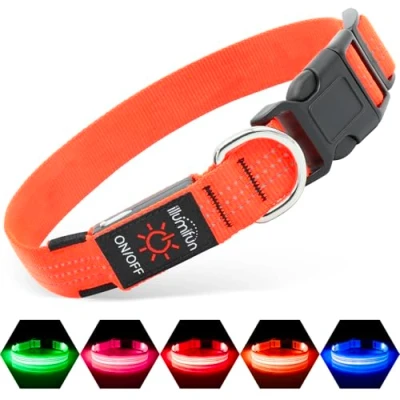 Image de Illumifun Collier de sécurité pour Chien à LED Rechargeable par USB Sangle en Nylon Réglable Lumineux réfléchissant Votre