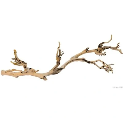 Image de Exo Terra Forest Branch, Large
