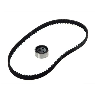 Image de SKF VKMA 06000 Kit de distribution 95 avec une denture arrondie RENAULT: MEGANE 1, Scenic, 1 Classic