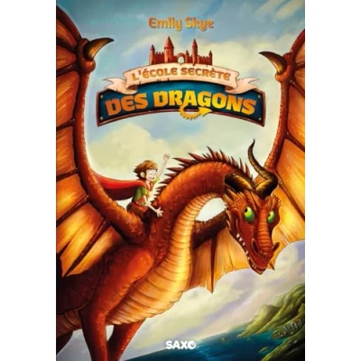 Image de L&#039;École secrète des dragons (broché) Tome 01