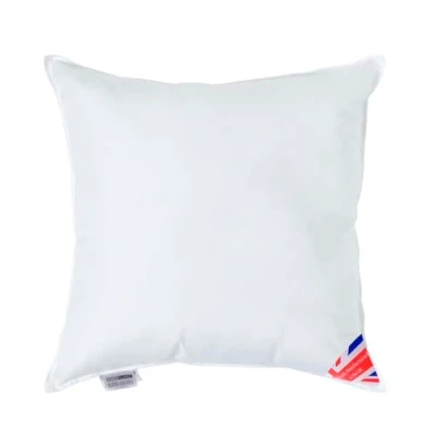 Image de HOMESCAPES Coussin de garnissage en 100% Microfibre Ultra Douce, à recouvrir 55x55 cm