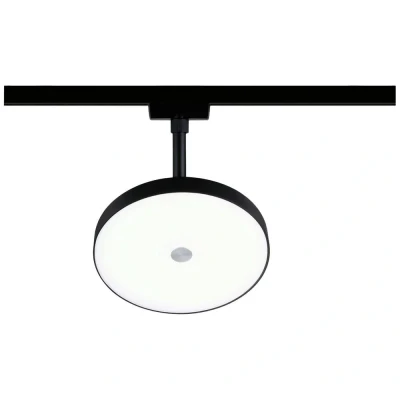 Image de Paulmann URail Hildor spot LED noir 4 000 K