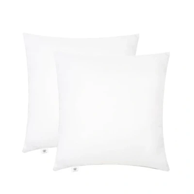 Image de Makimoo Lot de 2 Coussins Garnissage 60 x cm, Coussin à Recouvrir, Oreillers Intérieur, Rembourrage