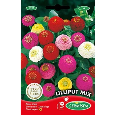 Image de Germisem Lilliput Mix Graines de Zinnia 1.5 g EC1621 Multicolore