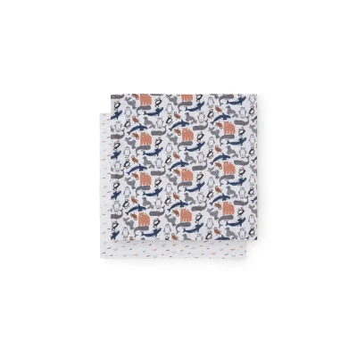 Image de Jollein Lange Gaze Coton Large 115x115cm Polar 2 Unités