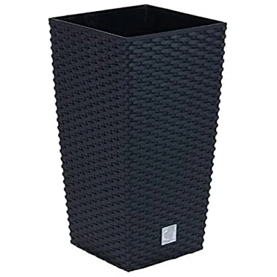 Image de Marmite Rato de 7,2 litres avec insert 17 x 32,4 cm en couleur anthracite