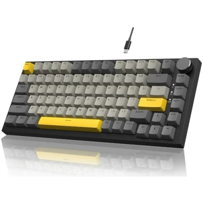 Image de YINDIAO Ajazz AK820 Clavier Mécanique avec Knob,Disposition 75% ANSI,82 Touches de Jeu Filaire,5 Mousses Insonorisantes,Hot Swap,Interrupteur Linéaire,Rétroéclairage RVB,pour PC,MAC (Gris)