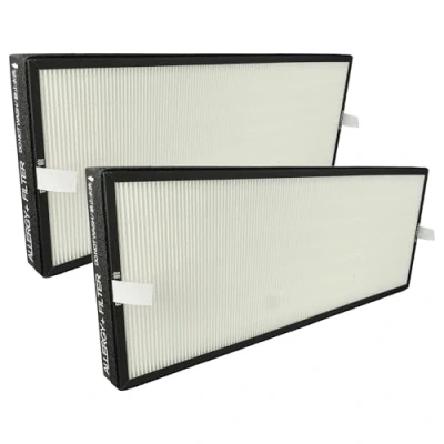 Image de vhbw 2x Filtres HEPA compatible avec Rowenta Intense Pure Air XL Connect PU6080F0, PU6080 humidificateur d&#039;air Filtre de rechange